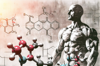Trestolone acetato: un'alternativa legale e sicura agli steroidi tradizionali